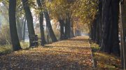 Jesień-w-obiektywie-23