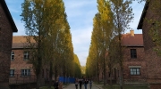 Pielgrzymka (13)