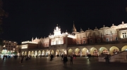 Pielgrzymka (8)