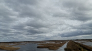 Wymiana Łotwa (14)